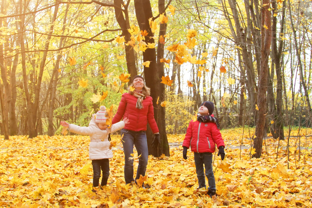 Family Activities In The Fall To Keep You Moving