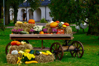 10 Healthy Foods to Eat This Fall